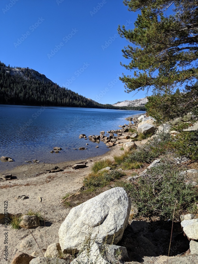Lake in Yosemite