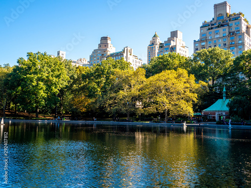 view of buildings surrounding Central Park in New York City in the fall