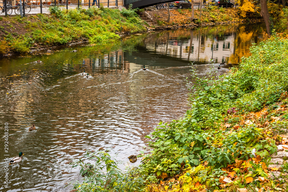 Herbstliche Idylle am Ludwigskanal in Bamberg