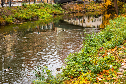 Herbstliche Idylle am Ludwigskanal in Bamberg photo