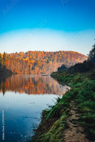 Riverside in autumn colors   Vivid morning in colorful forest with sun on trees. Scenery of nature with sunlight  autumn forest.