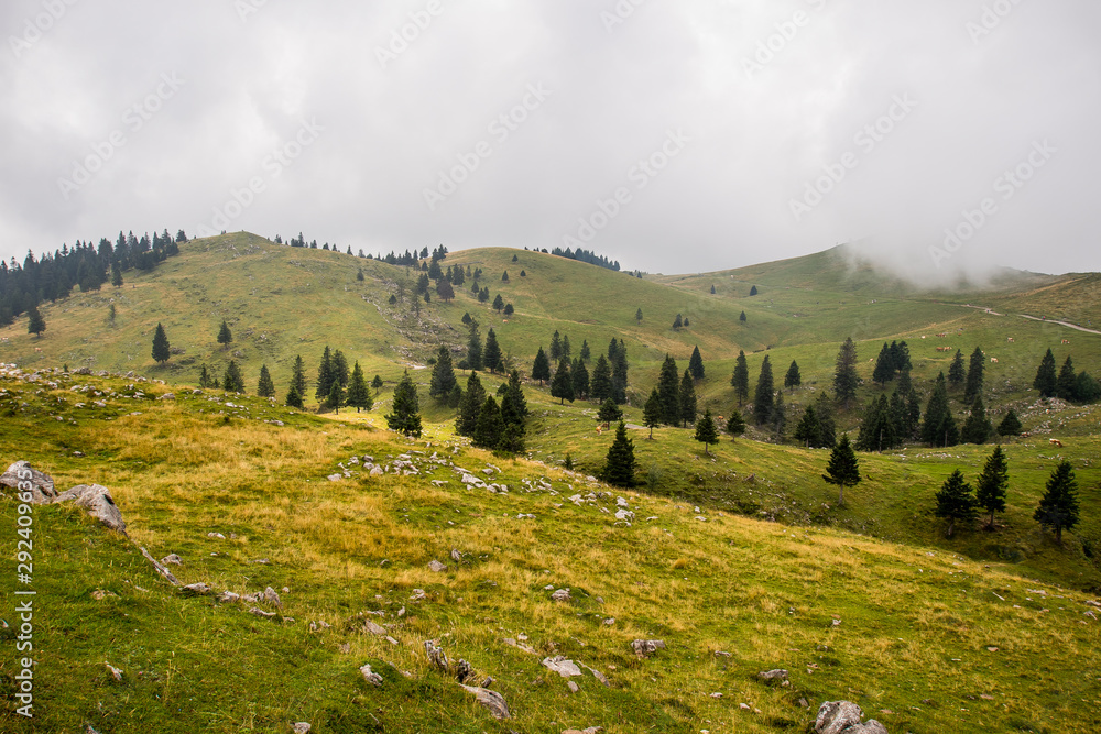 High plateau of Velika Planina, land of pastures and alpine huts high in the mountains, Slovenian Alps