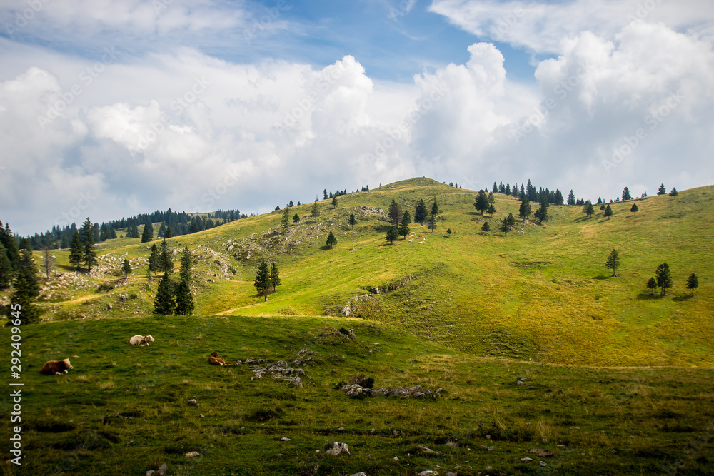 High plateau of Velika Planina, land of pastures and alpine huts high in the mountains, Slovenian Alps