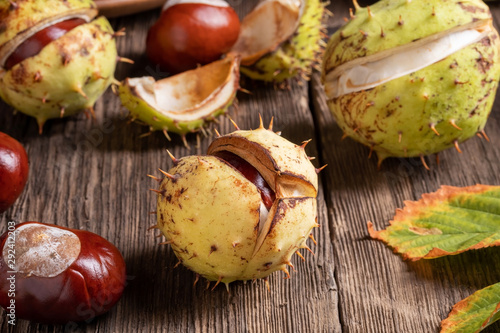 Horse chestnuts on a wooden table photo