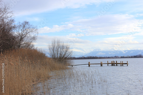 Lakeside of the Pfaeffikersee on a quiet day in autumn with a wooden pier in the background photo