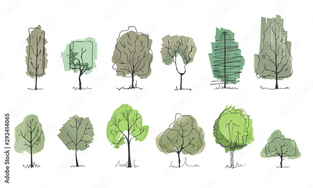 Obraz Rysowanie drzew do projektowania krajobrazu. Wektorowa ilustracja, ręka rysująca. Zbiór szkiców drzewa na białym tle.