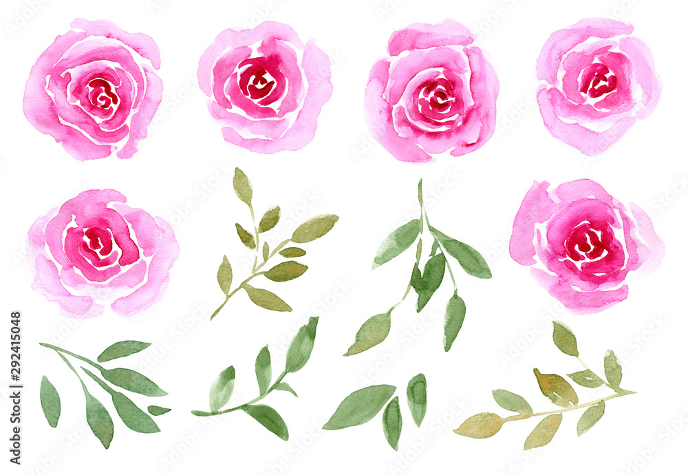 Watercolor set of blooming flower buds, roses, twigs and leaves. Illustration isolated on white background. Hand-drawn floral decorative elements.