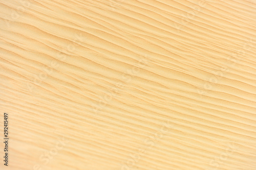 Stunning view of some sand dunes that form a natural texture. Dubai desert, Dubai, United Arab Emirates, UAE.