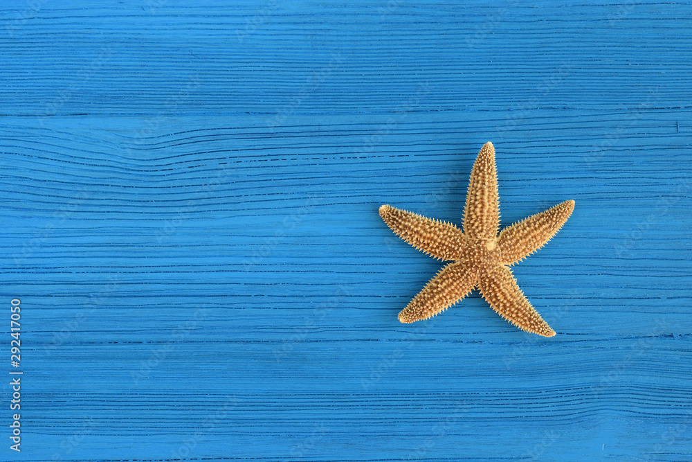 Dry sea star on blue wooden background. Top view. Copy space Dry sea star on blue wooden background. Top view. Copy space