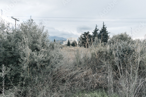 Walking in the woods.