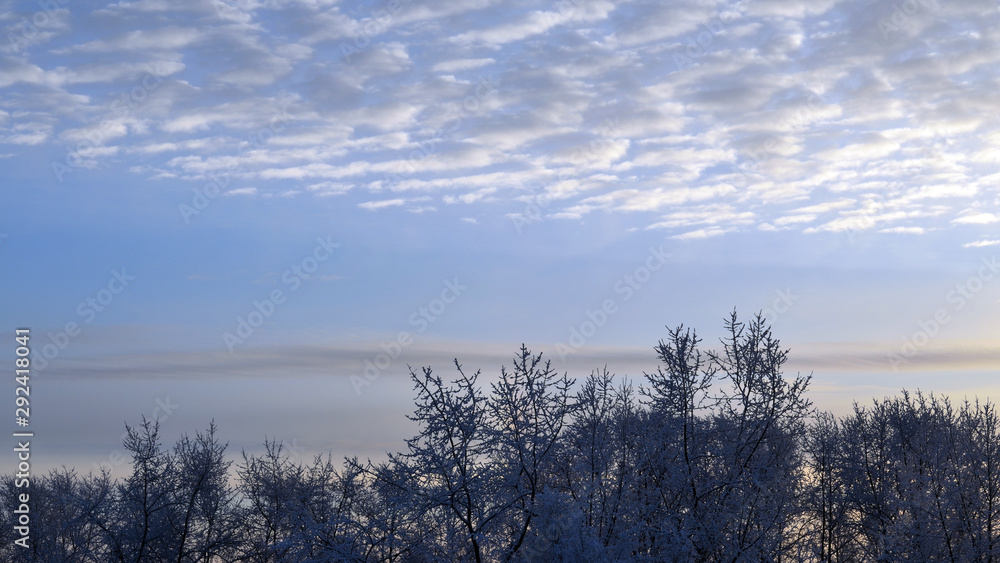 Quiet cool winter scene. White and grey clouds, blue sky and tops of trees covered by snow. Copy space Quiet cool winter scene. White and grey clouds, blue sky and tops of trees covered by snow. Copy space