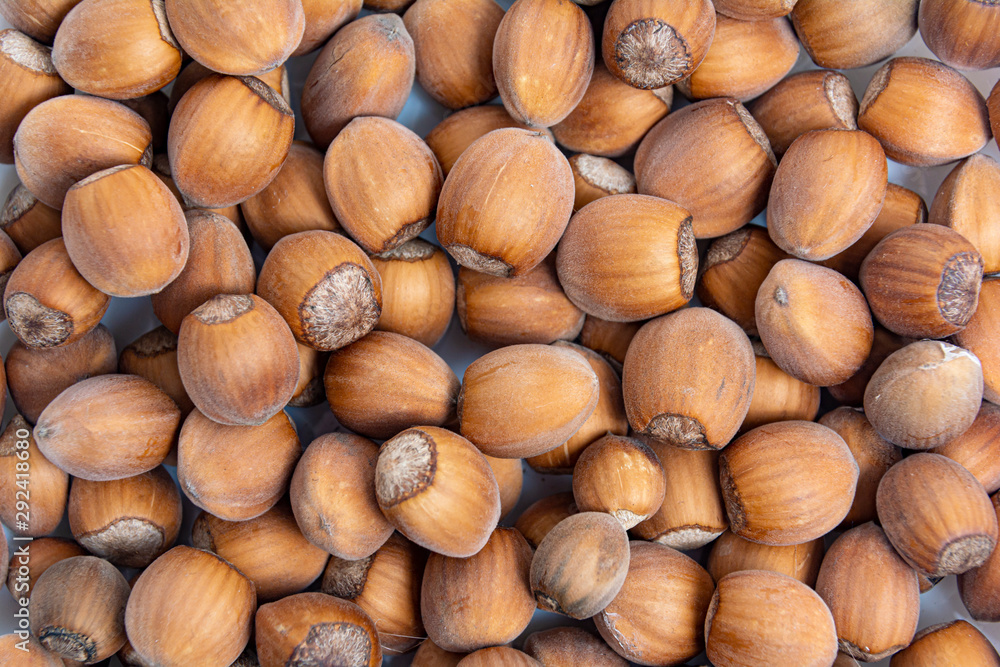 Hazel, freshly picked hazelnuts. natural conceptual background. lifestyle, healthy eating, natural product. Hazel, freshly picked hazelnuts. natural conceptual background. lifestyle, healthy eating, natural product.