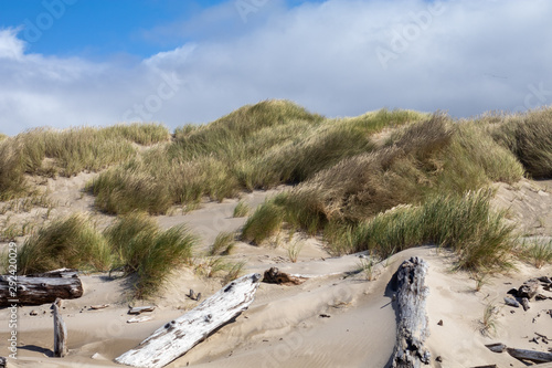 Oregon Coast, West Coast Beaches, Pacific Northwest Beach