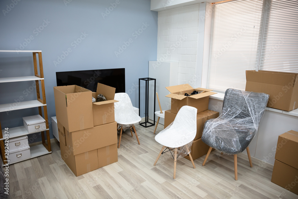 Fototapeta premium Living Room Interior With Moving Boxes