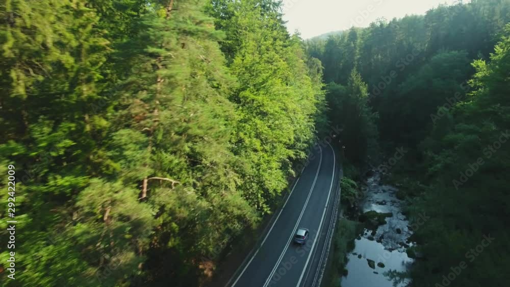 Chasing The Car In A Forest Canyon. Aerial Shot