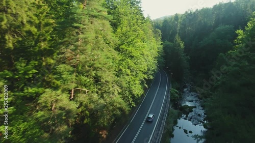 Chasing The Car In A Forest Canyon. Aerial Shot