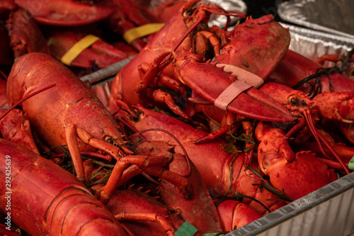 Hot Steamed Red Lobster