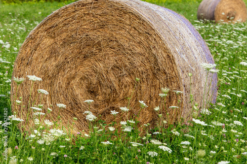 Rolled Haybale