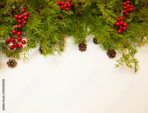 Christmas or New Year background  fir tree branches  decoration and cones on a white background