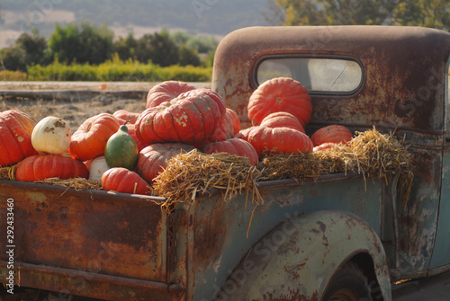 Old rusty truck full of fall pumpkins