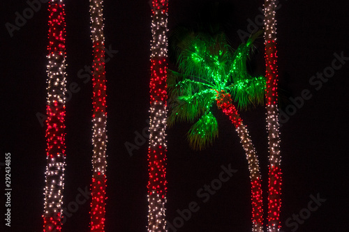 Holiday lights illuminating tall palm trees and one short leaning palm tree
