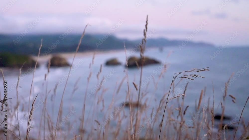 Defocused beach with close up of grass at Haystack Rock. One of Oregon's most recognizable landmarks, home to colorful tidepools and diverse bird life. Defocused beach with close up of grass at Haystack Rock. One of Oregon's most recognizable landmarks, home to colorful tidepools and diverse bird life.