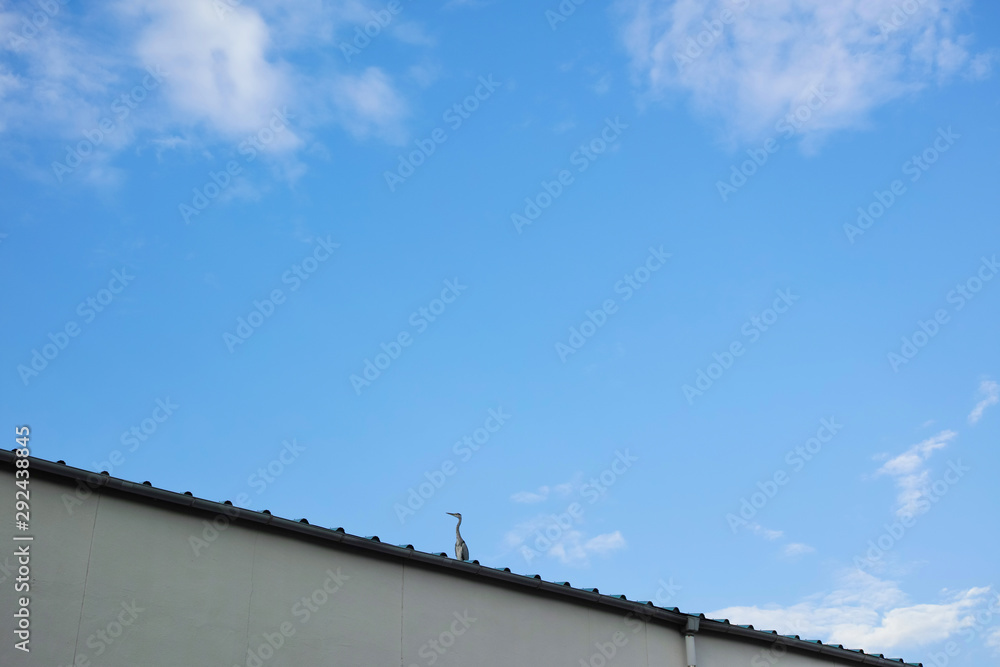一羽のアオサギがとまっている倉庫の屋根と白い雲のある青空 一羽のアオサギがとまっている倉庫の屋根と白い雲のある青空