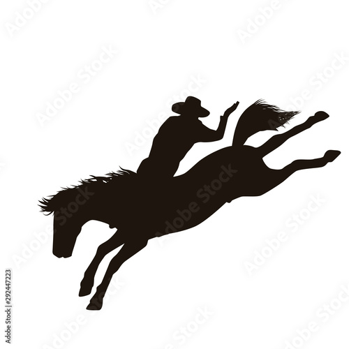Rodeo Silhouette