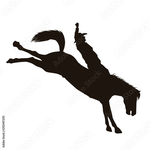 Rodeo Silhouette