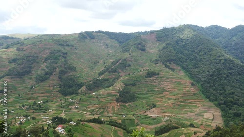 Farmland and Bwindi rain forest, Uganda