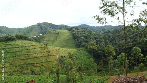 Farmland and Bwindi rain forest, Uganda