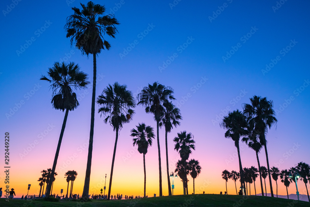 Φωτογραφία Venice beach palm trees at sunset in Los Angeles in California USA