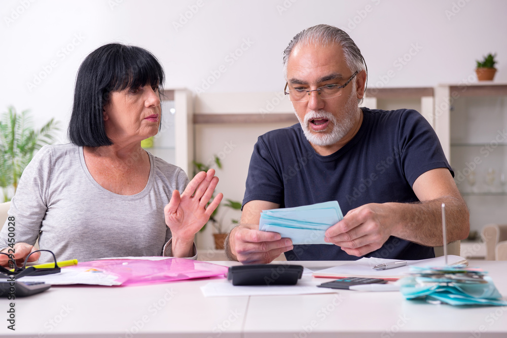 Fototapeta premium Senior couple discussing financial plans