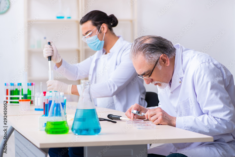 Two chemists working in the lab Two chemists working in the lab