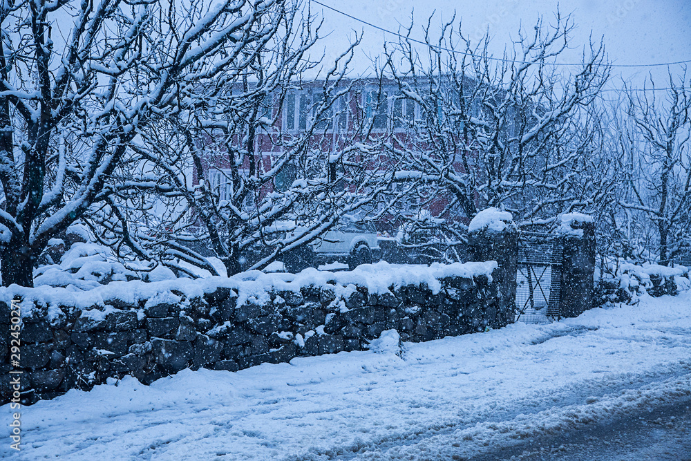 Fotografie Street houses and trees covered with fresh white snow, winter snowfall