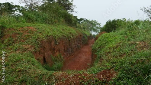 Giant trench to stop elephants
