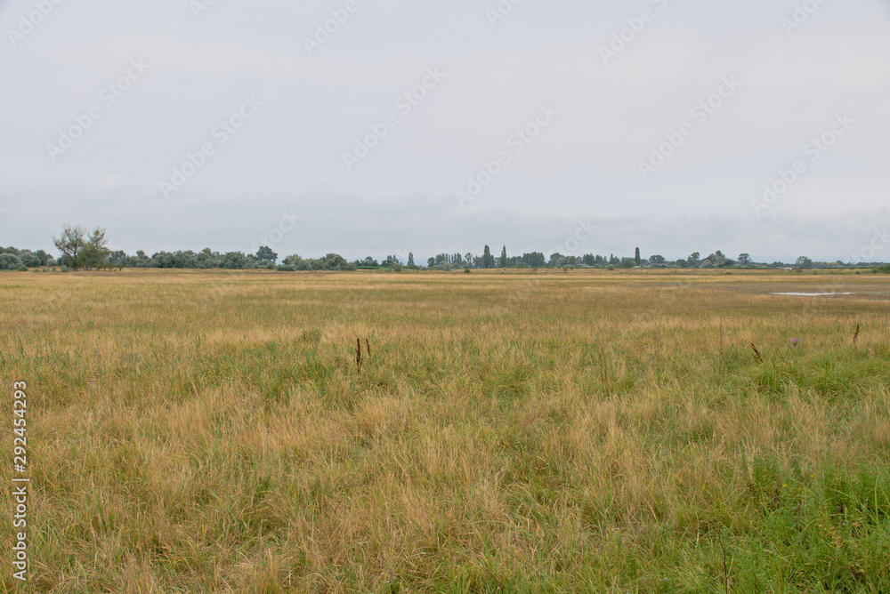 Landscape shot in the national park Neusiedler See in Illmitz Burgenland Landscape shot in the national park Neusiedler See in Illmitz Burgenland