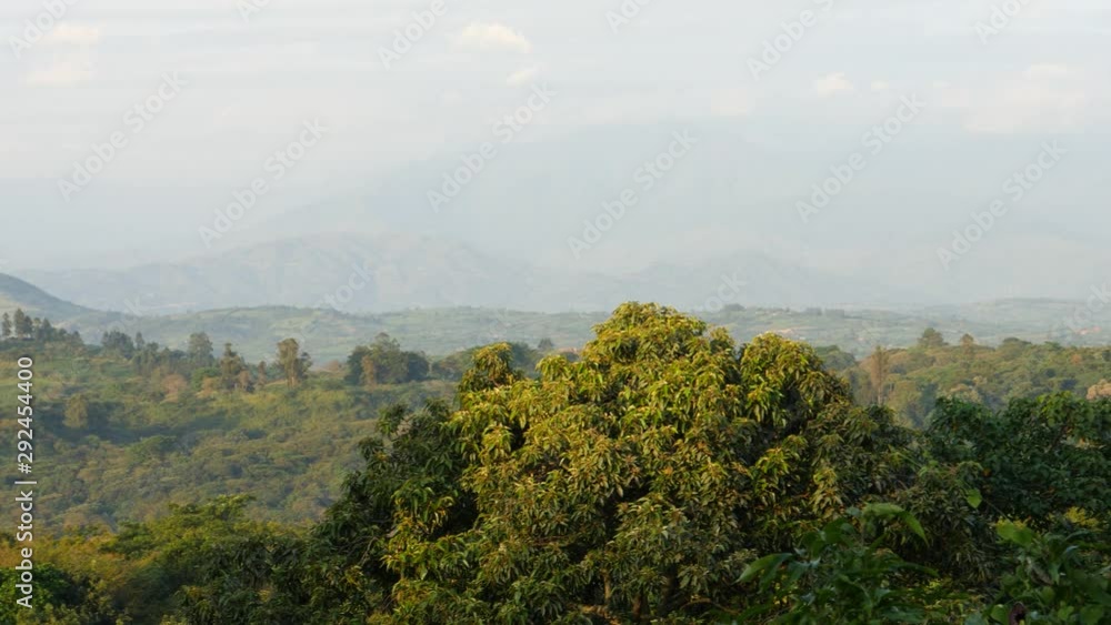 Misty morning view, Uganda, pan, 4k Misty morning view, Uganda, pan, 4k