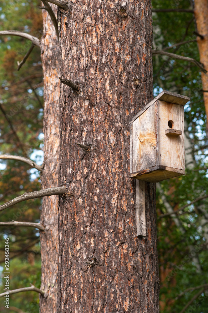 Birdhouse on a pine in the forest Birdhouse on a pine in the forest