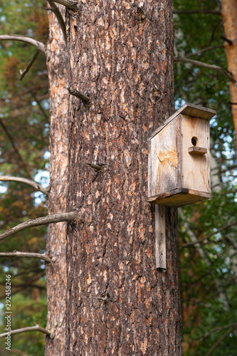 Birdhouse on a pine in the forest