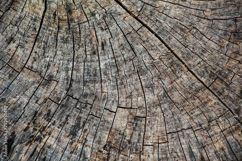 Old wood crack texture background