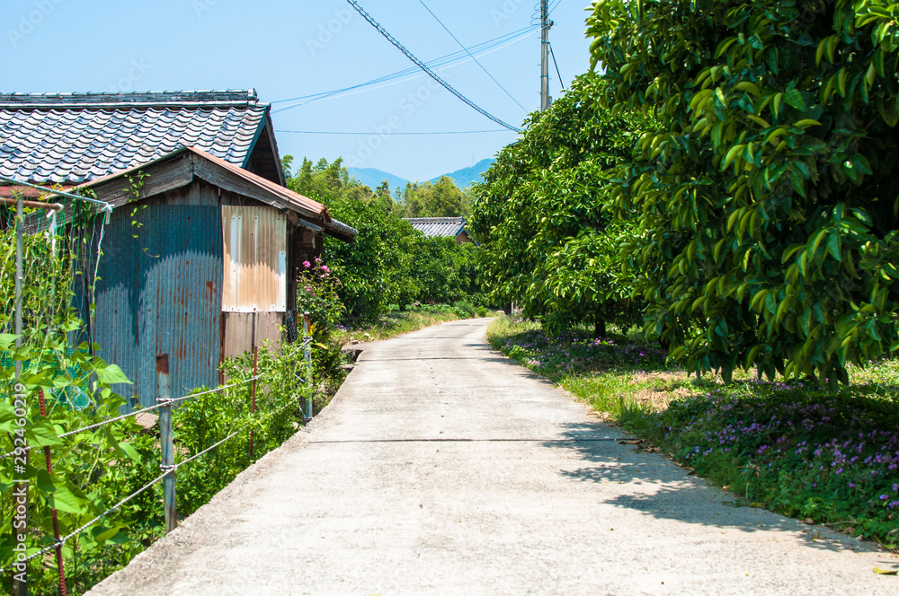 Fototapeta premium View of a Japanese village