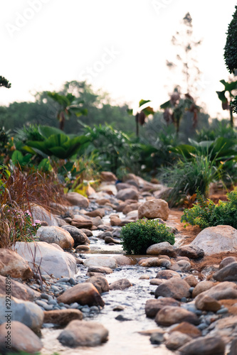 Mountain stream in tropical green forest.