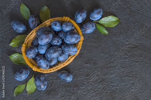 ripe fresh plums in a wicker basket top view. dark background with blue fresh plums with leaves. plum and leaf close up.
