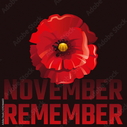 Vector illustration eps10, isolated background. Realistic red poppy flower symbol, 3d remembrance day November 11 poster with November Remember text. Flat anniversary memory banner.