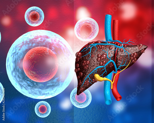 viral infection on human  liver. 3d illustration photo