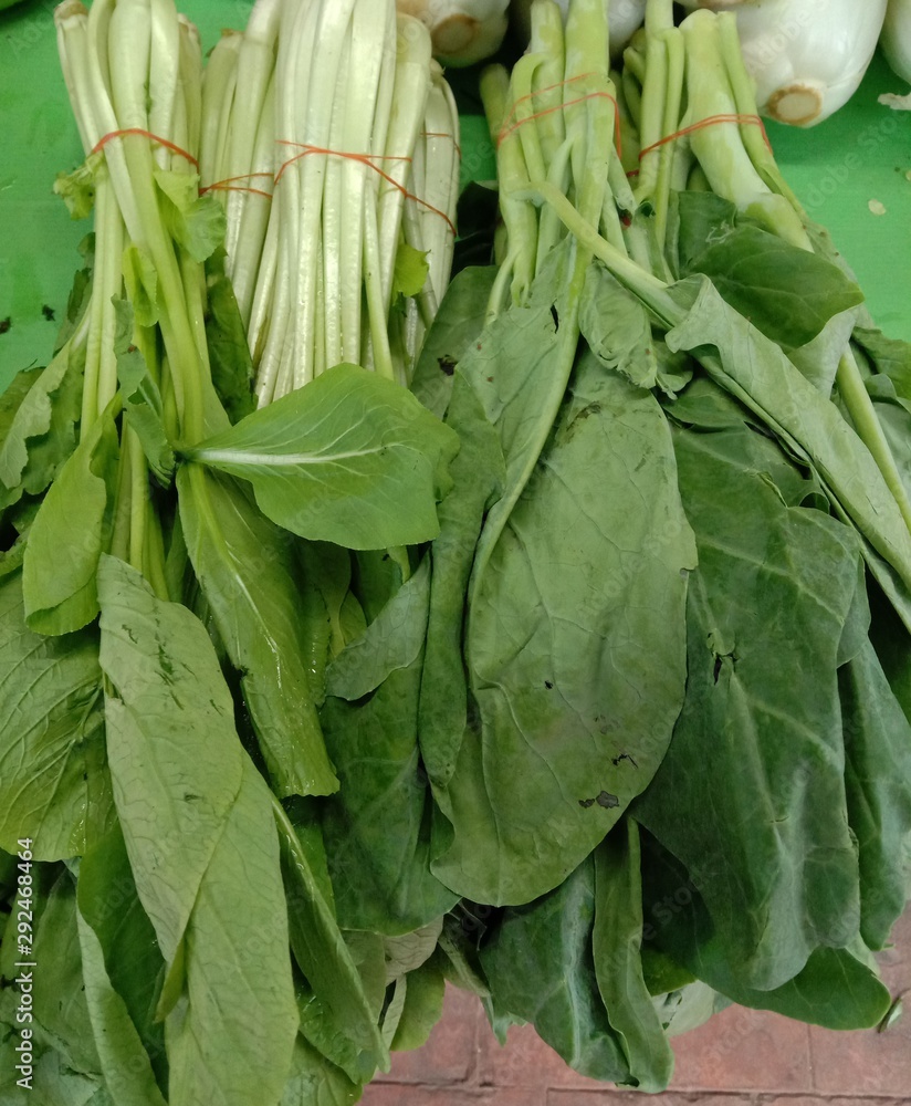 Chinese kale is a popular greens. Kale is a 2 year old vegetable. Shop for a variety of cooking. Kale can be grown throughout the year. But when planting works best. Chinese kale is a popular greens. Kale is a 2 year old vegetable. Shop for a variety of cooking. Kale can be grown throughout the year. But when planting works best.