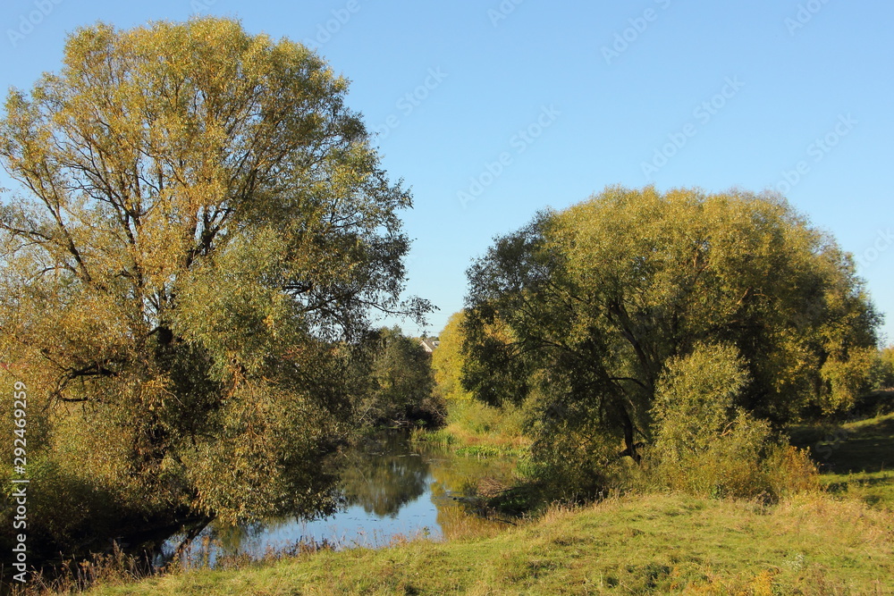 Two picturesque trees on little river shores on blue clear sky background in country Park, European nature environment