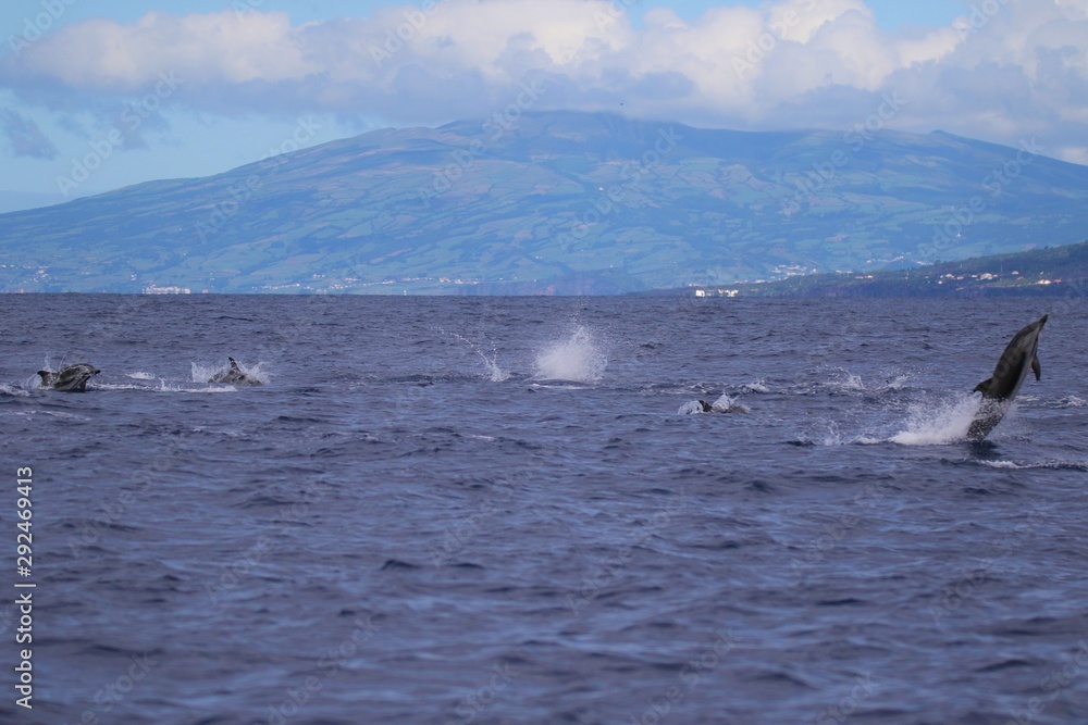 Fototapeta premium Açores
