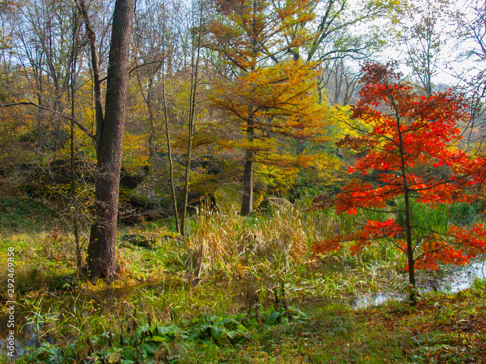 Forest lake on the background of the autumn forest Forest lake on the background of the autumn forest